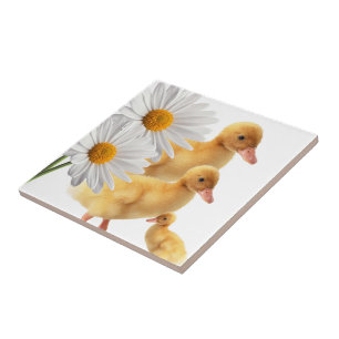 Carreau Carrelage en céramique Canard Fleurs blanches