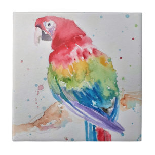 Carreau Carrelage en céramique couleur de Macaw Parrot col