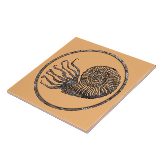Carreau Carrelage en céramique d'Ammonite (Côté)