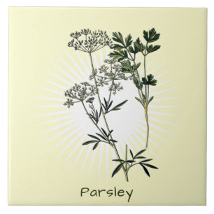 Carreau Carrelage en céramique d'art botanique vintage per