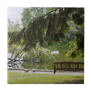 Carreau Carrelage en céramique de canard d'ornement