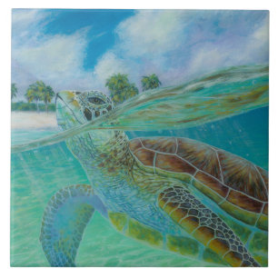 Carreau Carrelage en céramique de l'île Soul