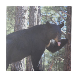 Carreau Carrelage en céramique de l'ours noir