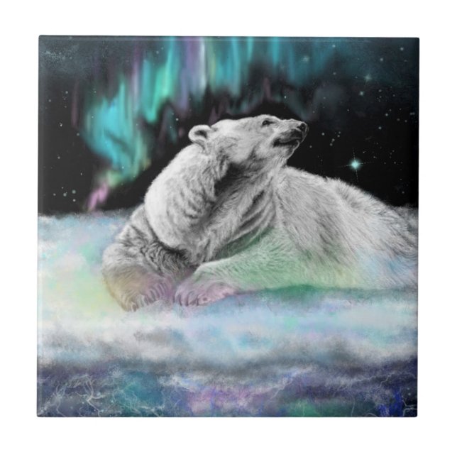Carreau Carrelage en céramique de nuit Ours polaire - Pein (Devant)