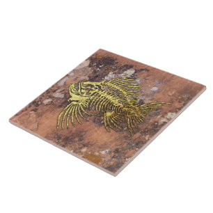 Carreau Carrelage en céramique de poisson fossile