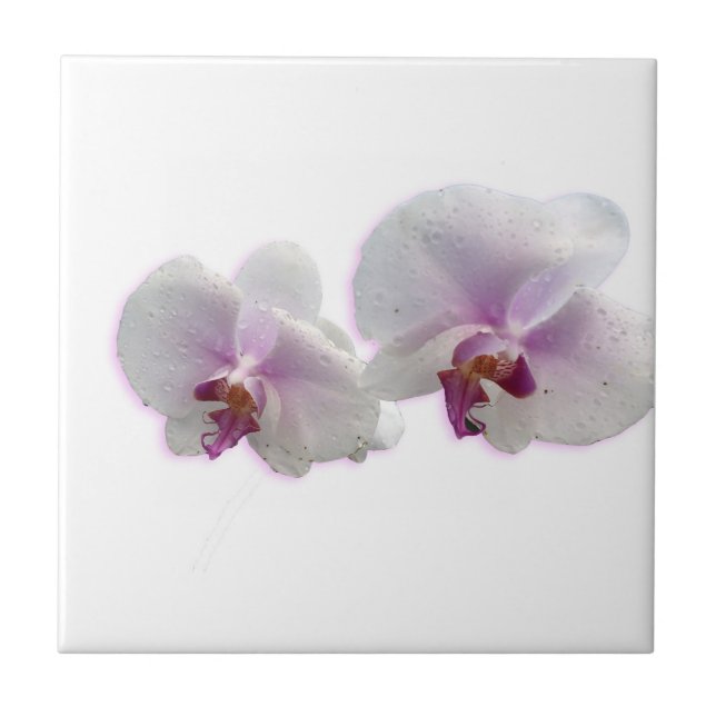 Carreau Carrelage en céramique des fleurs d'orchidées (Devant)