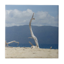 Carrelage en céramique des îles Frankland