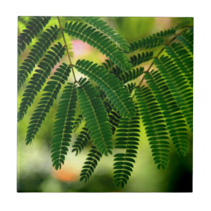 Carreau Carrelage en céramique Feuille verte