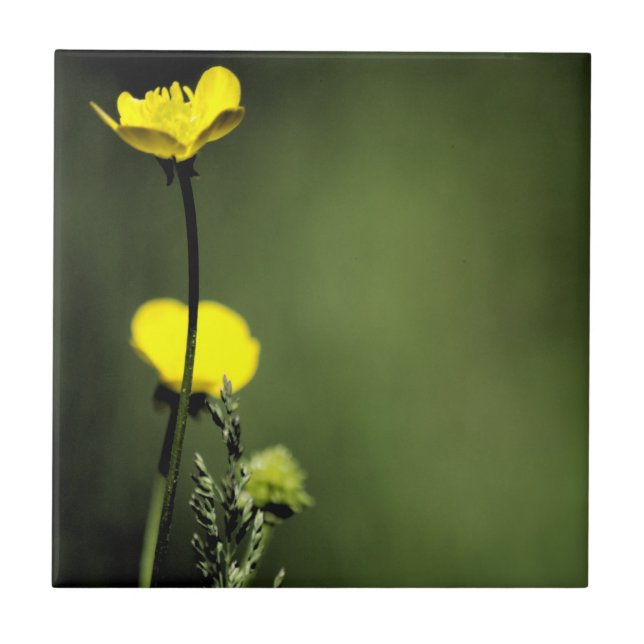 Carreau Carrelage en céramique Fleurs Jaunes (Devant)