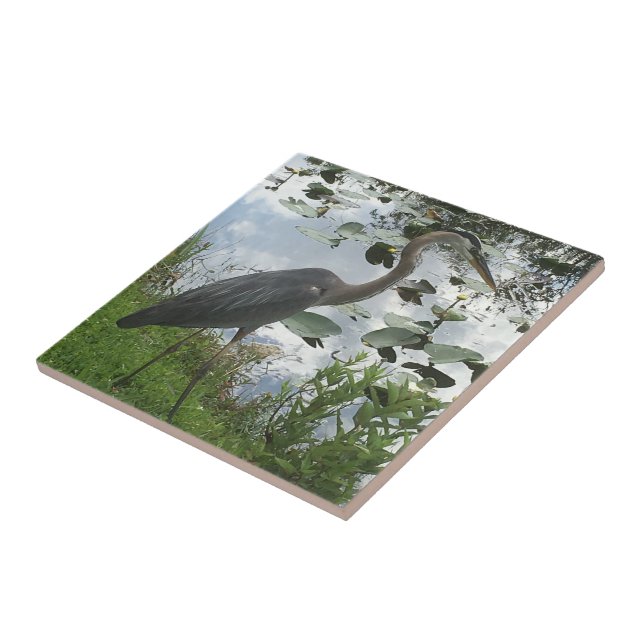 Carreau Carrelage en céramique Great Blue Heron (Côté)