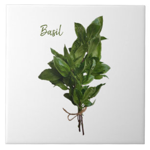 Carreau Carrelage en céramique Green Basil Herb