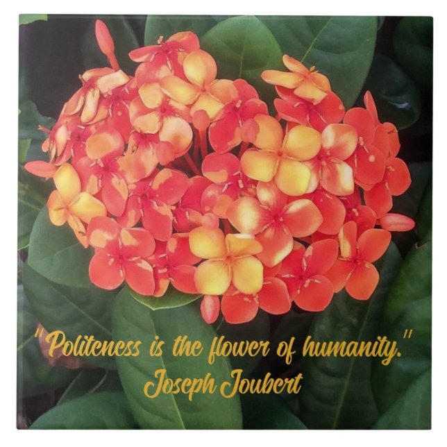 Carreau Carrelage en céramique Ixora (Devant)