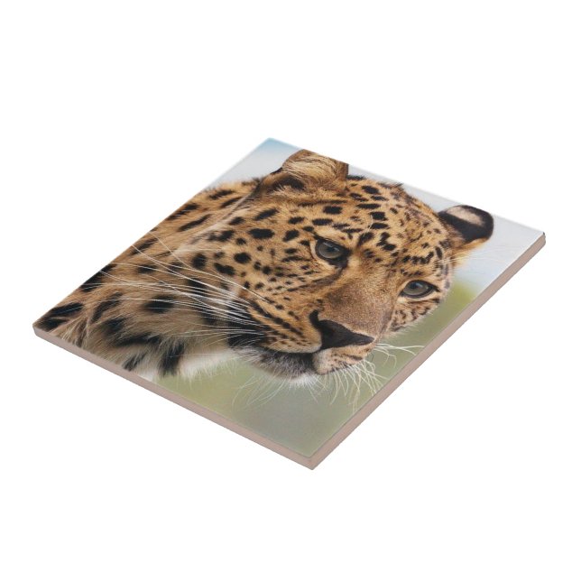 Carreau Carrelage en céramique Leopard (Côté)