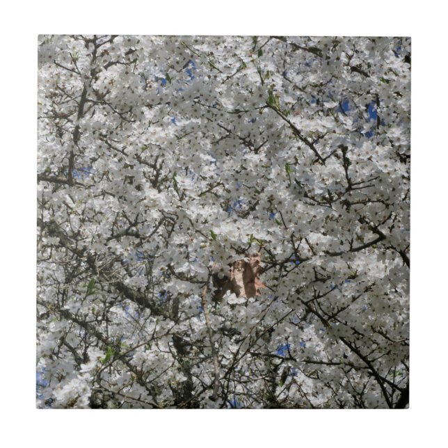 Carreau Carrelage en céramique Mirabelle Blossom (Devant)