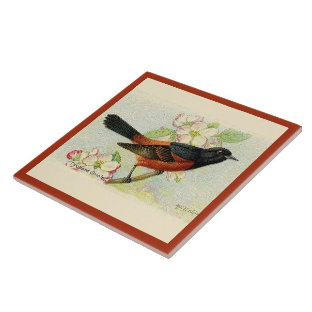 Carreau Carrelage en céramique Orchard Oriole (Côté)