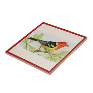 Carreau Carrelage en céramique pour l'Oiseau du Tanager oc