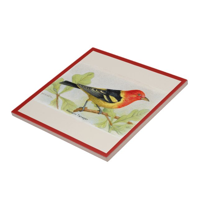Carreau Carrelage en céramique pour l'Oiseau du Tanager oc (Côté)