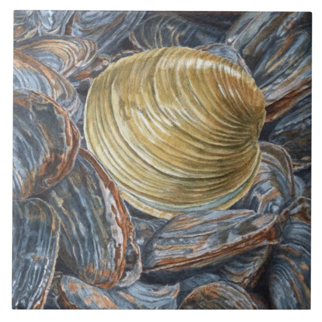 Carreau Carrelage en céramique Quahog et Clams (Devant)