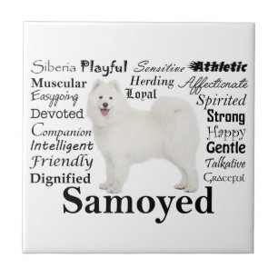 Carreau Carrelage en céramique Samoyed Traits
