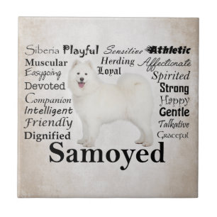 Carreau Carrelage en céramique Samoyed Traits