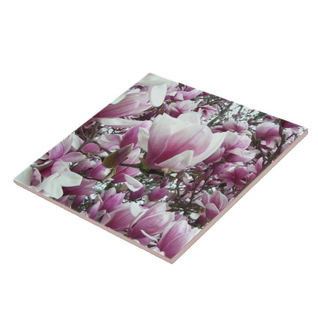 Carreau Carrelage en céramique - Saucer Magnolia (Côté)
