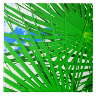 Carreau Carrelage en céramique Sky Palm