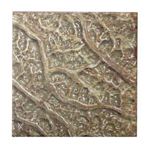 Carreau Carrelage en céramique Taupe texturée