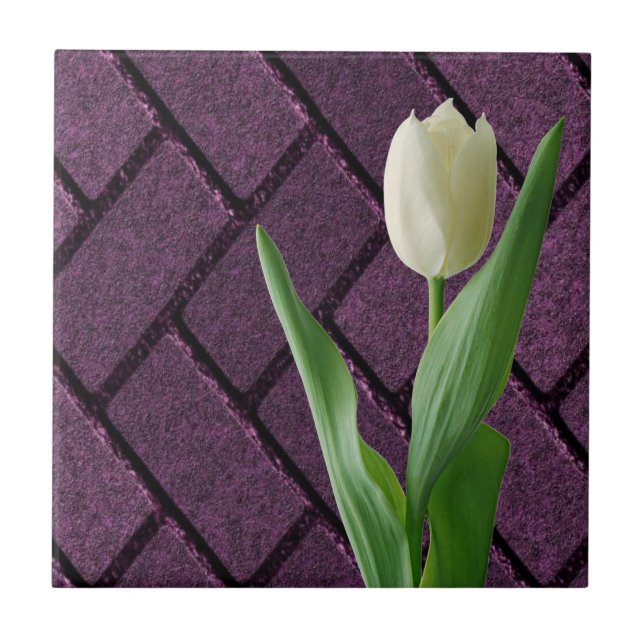 Carreau Carrelage en céramique Tulipe blanche Violet Flora (Devant)