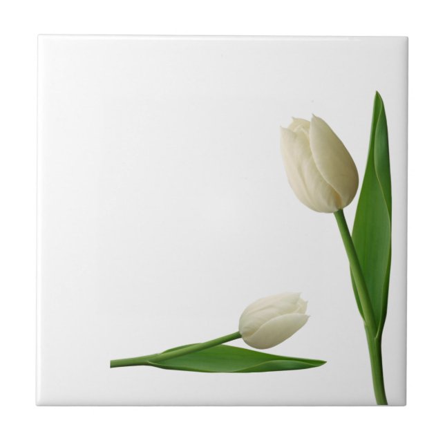 Carreau Carrelage en céramique Tulipes blanches Floral (Devant)