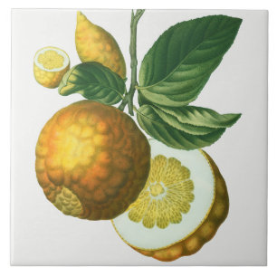 Carreau Carrelage en céramique vintage