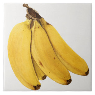 Carreau Carrelage en céramique vintage