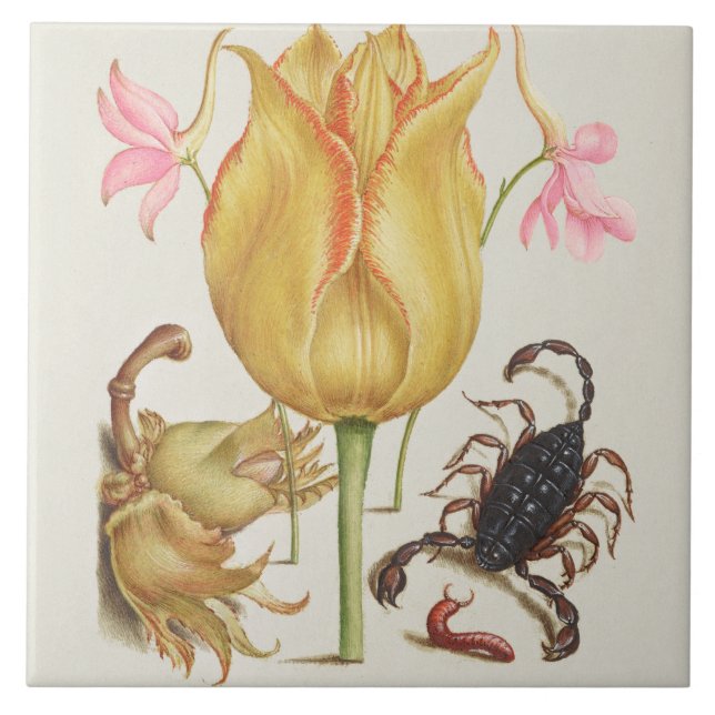 Carreau Carrelage en céramique vintage (Devant)