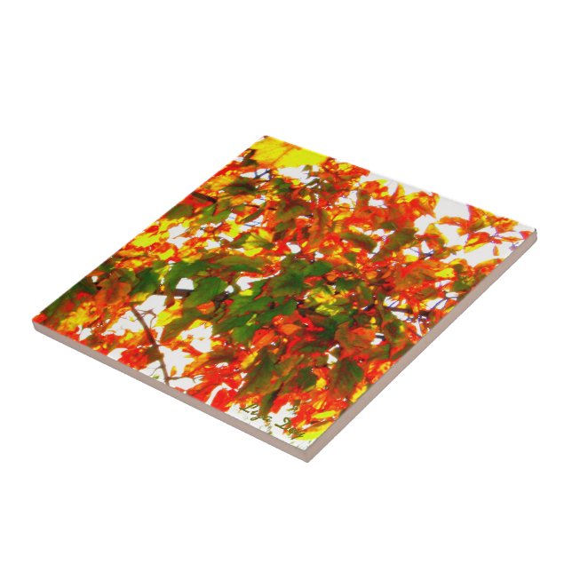 Carreau Carrelage 'feu d'automne'/Trivet (Côté)