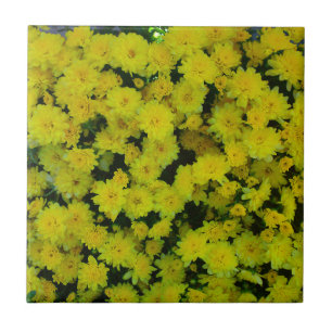 Carreau Carrelage marguerite jaune