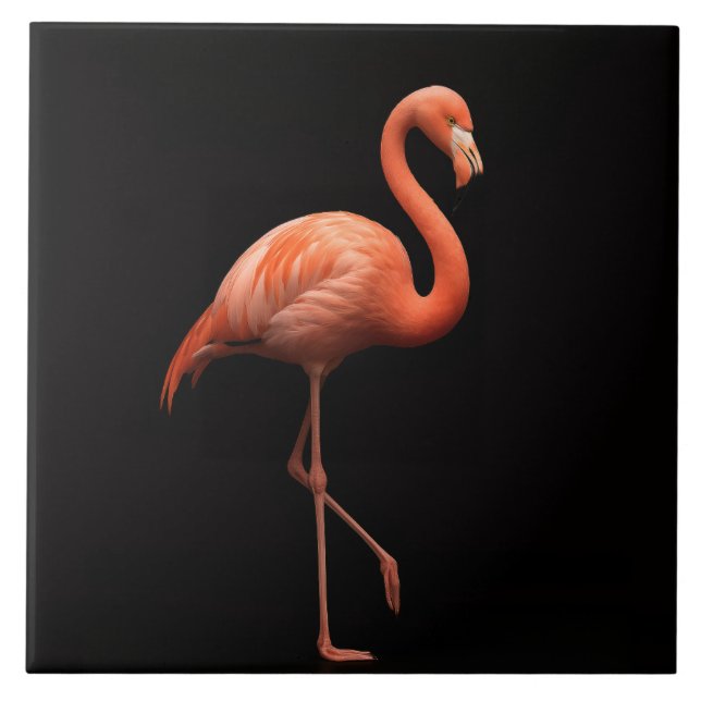 Carreau Carrelage noir 4 Luxe avec Flamant rose rose Oisea (Devant)