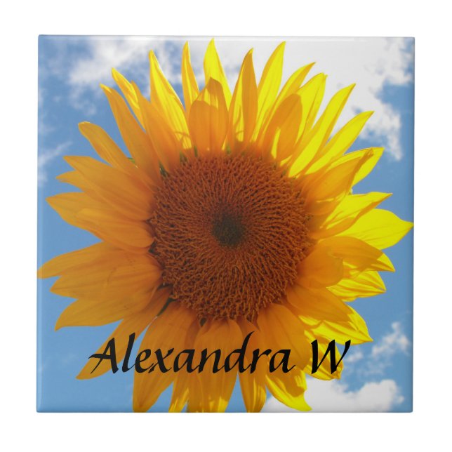 Carreau Carrelage personnalisé Sunflower Bleu Jaune clair (Devant)