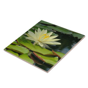 Carreau Carrelage / Trivet Jaune Lotus Blossom (Photog)