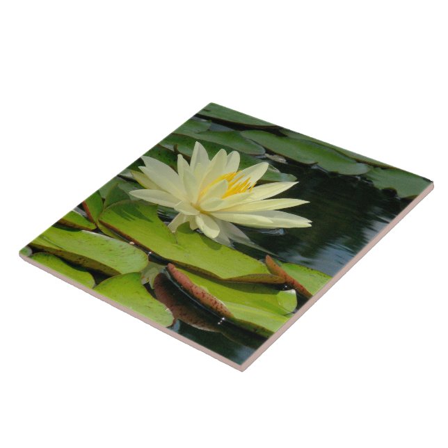 Carreau Carrelage / Trivet Jaune Lotus Blossom (Photog) (Côté)