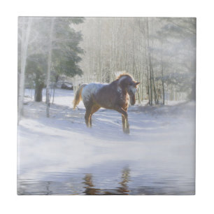 Carreau Carrelle d'art Pretty Horse in the Sun
