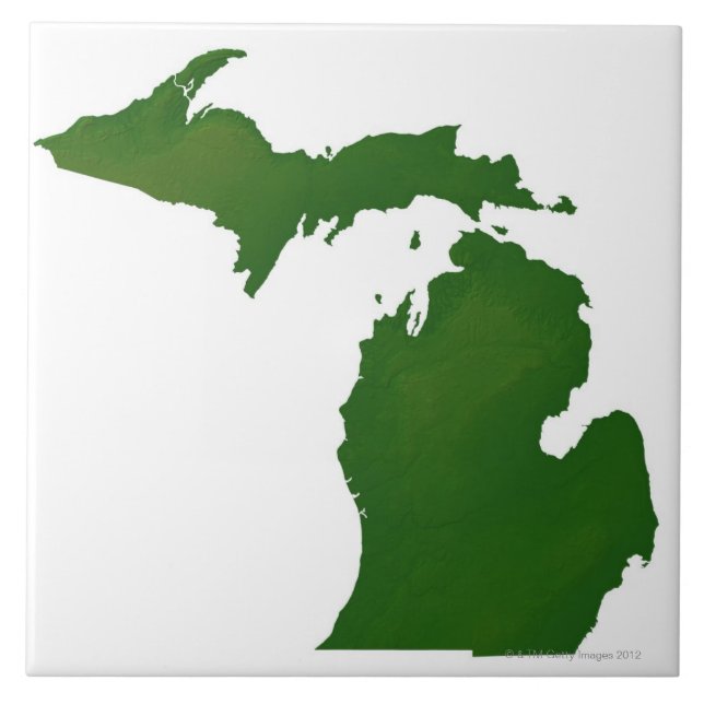 Carreau Carte du Michigan (Devant)
