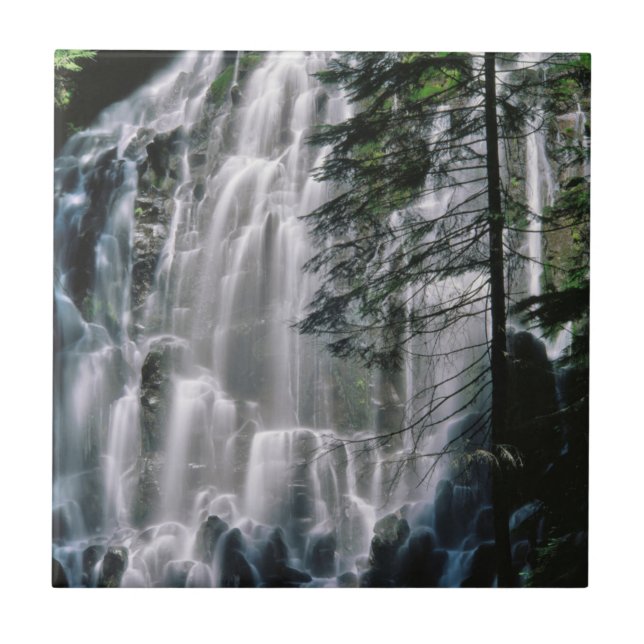 Carreau Cascade dans la forêt, Oregon (Devant)