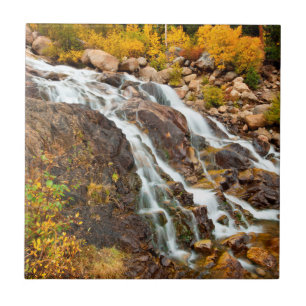 Carreau Cascade Dans Le Parc National Du Grand Teton