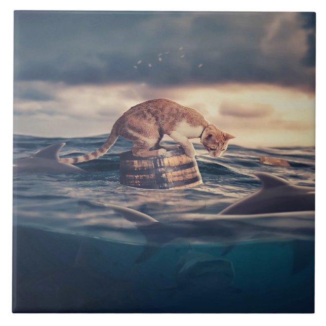 Carreau Cat Nap Dream ou cauchemar (Devant)