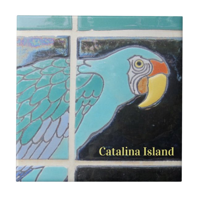 CARREAU CATALINA ISLAND CARRELAGE CÉRAMIQUE LE REGARD (Devant)