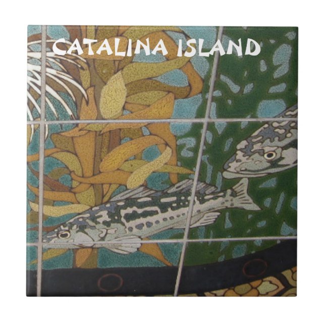 CARREAU CATALINA ISLAND CERAMIC TILE CATALINA VOYAGEURS (Devant)