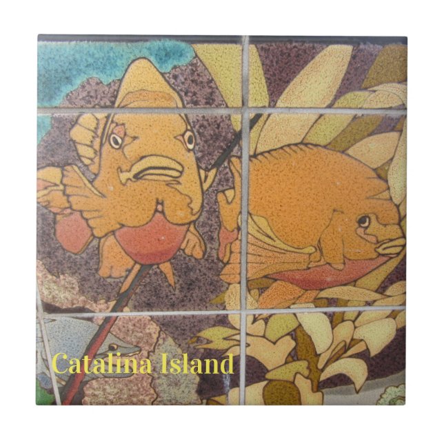 CARREAU CATALINA ISLAND CERAMIC TILE FACES DE CATALINA (Devant)