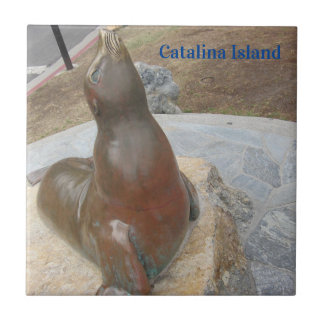 CARREAU CATALINA ISLAND CERAMIC TILE THE BEN