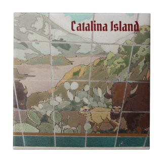 CARREAU CATALINA ISLAND TILE CÉRAMIQUE CATALINA BUFFALO