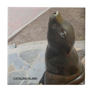 CARREAU CATALINA ISLAND TILE CÉRAMIQUE LE NEZ