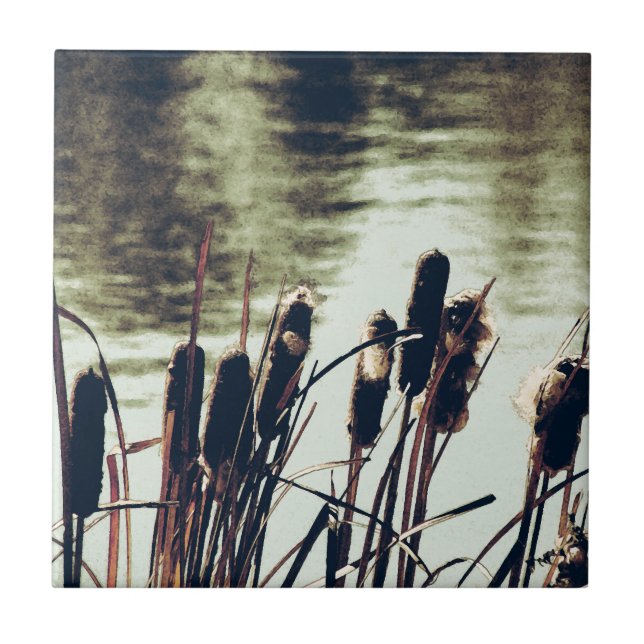 Carreau Cattails, Plantes d'étang (Devant)